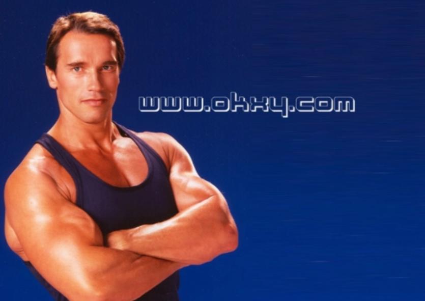 硬汉施瓦辛格原版,施瓦辛格硬汉完整版