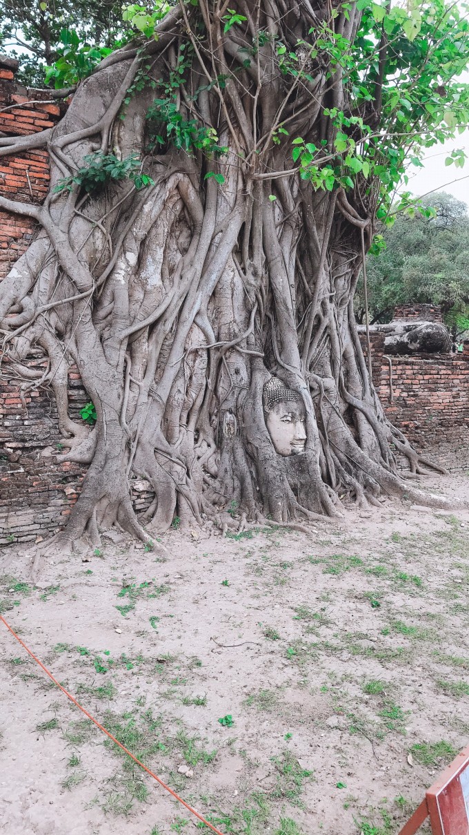 疫情前的泰国旅游,疫情前泰国旅游机场