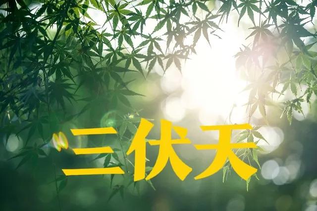 2021年哪天入伏三伏一共多少天,2023年三伏天哪伏最热