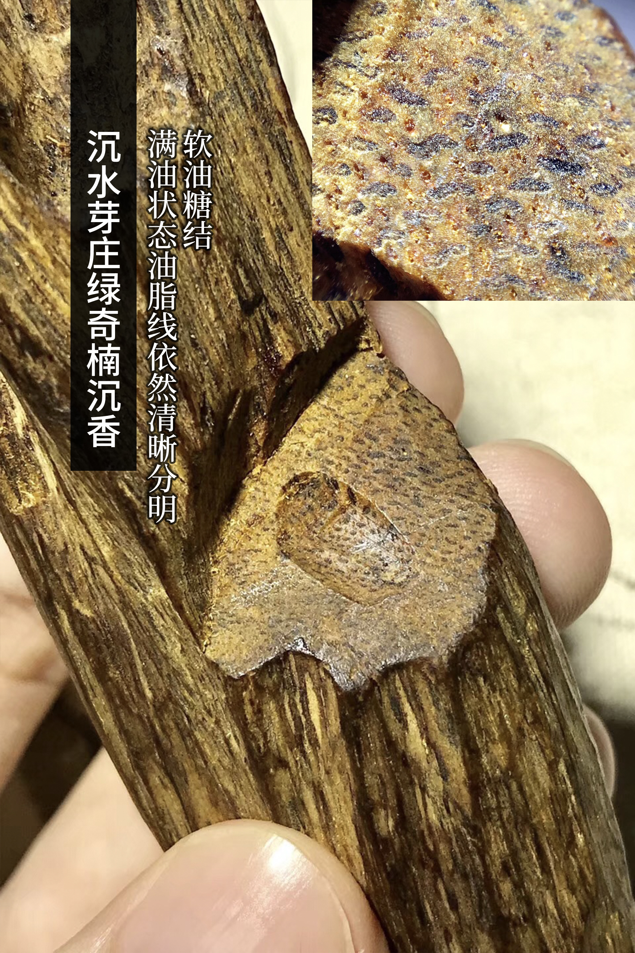 越南黑奇楠沉香微距,奇楠沉香的收藏方法