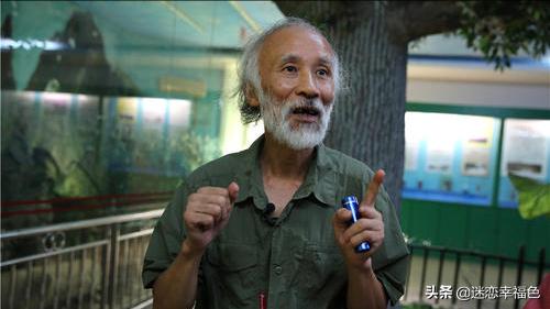 蛇博士完整版,蛇博士烙铁头