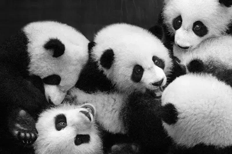 幽默爆笑笑话100个搞笑段子,幽默笑话搞笑段子100篇