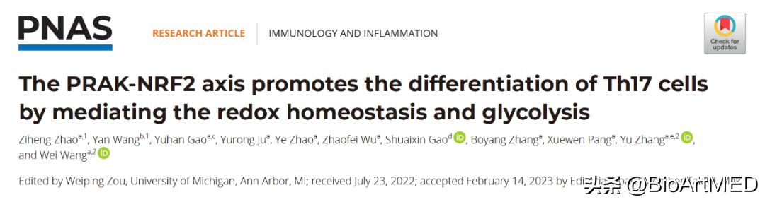 Th17应对氧化应激的新机制