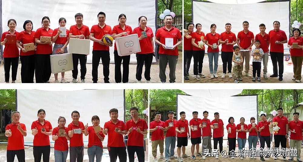 伊莱雅集团直播,伊莱雅集团