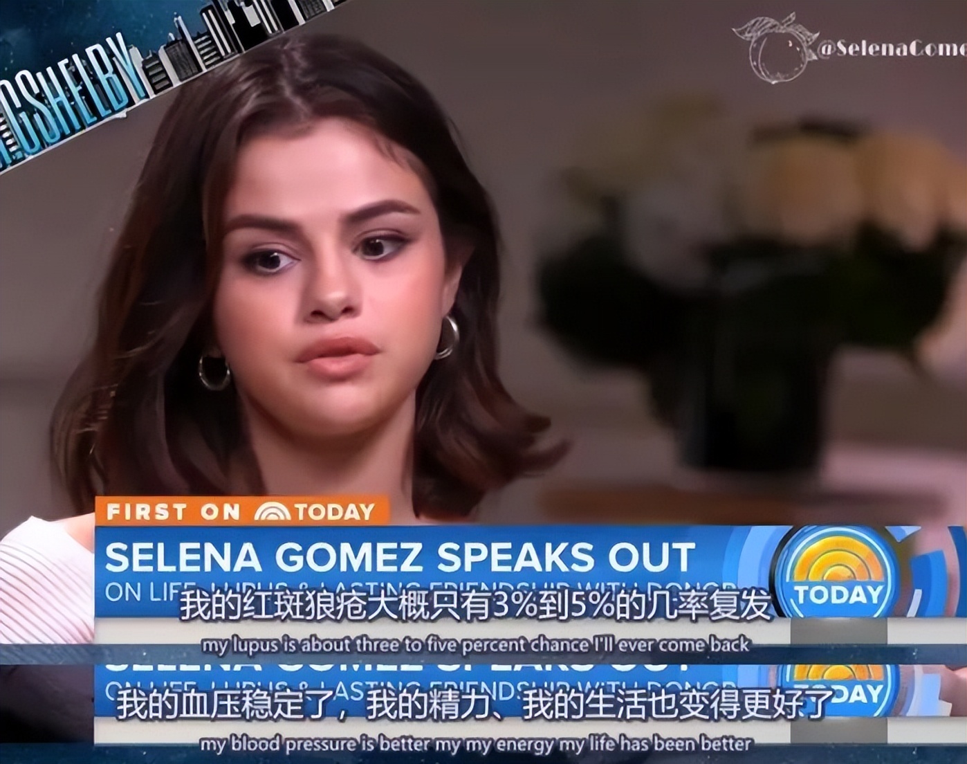 香港富豪丈母娘换肾,香港富豪三亿换肾是在哪个医院