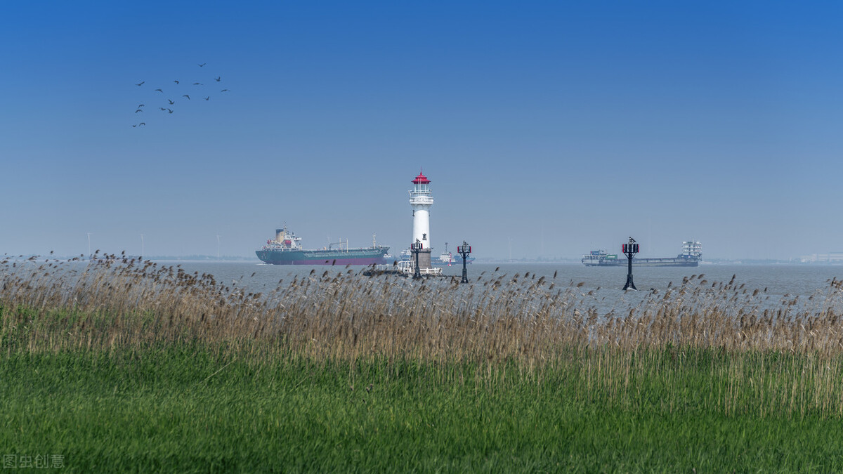 上海市区森林秘境,上海这些景区值得一去