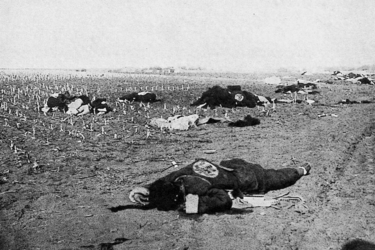 日军兽行照片:当着父亲的面玷污他女儿,临走还残忍割下妻子乳房