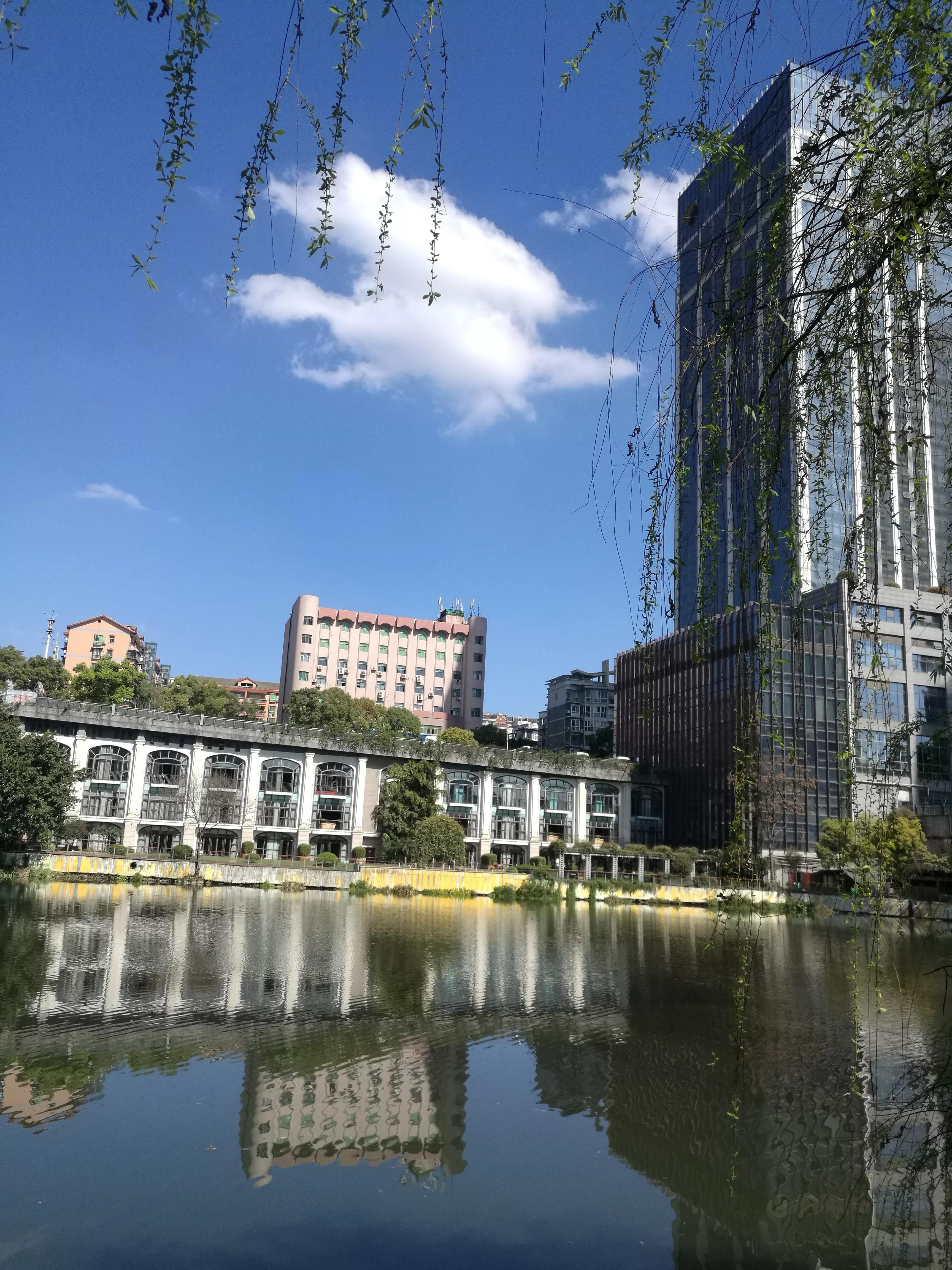 买房容易被骗国家采取了什么措施,新手买房如何防止被骗