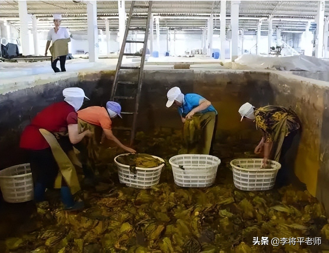 男足踩土坑酸菜，女足踩国酒茅台，都是用脚踩为何待遇不同？