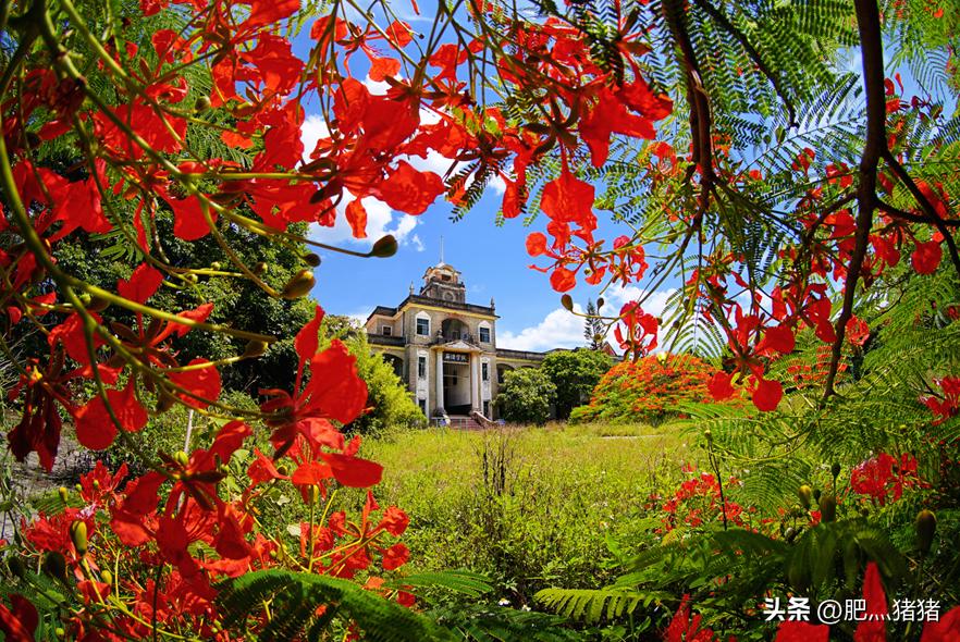 周润发刘德华感动视频,周润发惊呆大陆的视频