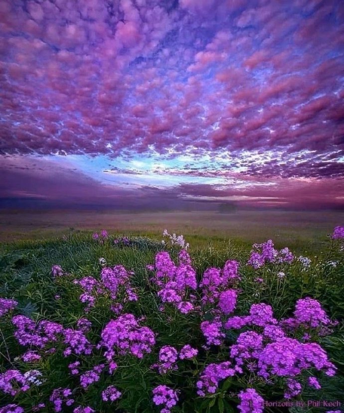 人际关系：帮你忙的人，最好不要用礼物来报答