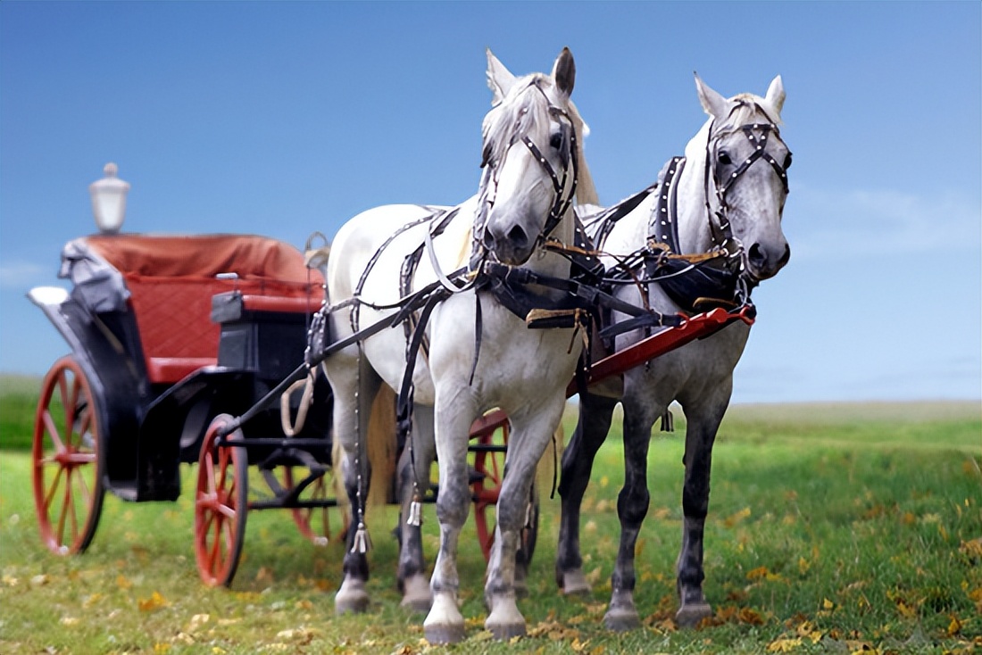 二丫被绑架结婚,养父的花样年华二丫绑架了