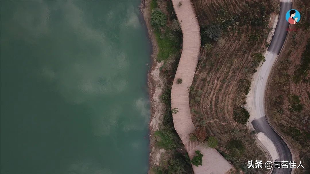 普洱茶一山一味什么意思啊,普洱一山一味是什么味