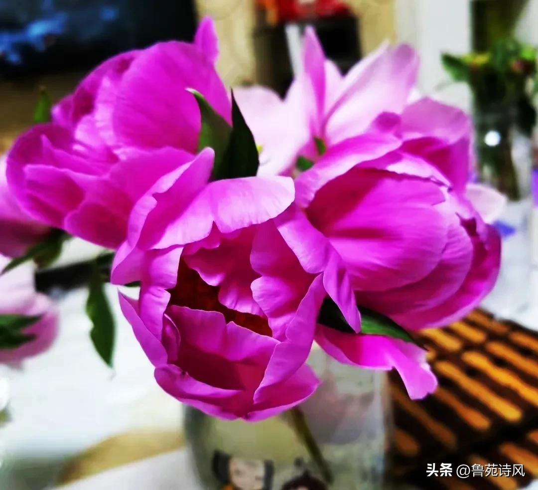 陪伴孩子度过叛逆期抖音,陪伴叛逆期孩子复习