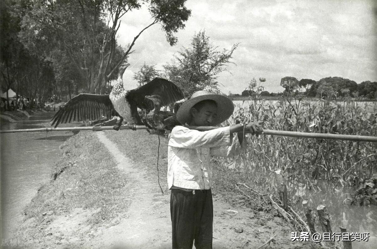 你最想生活哪个年代,你更喜欢生活在哪个年代