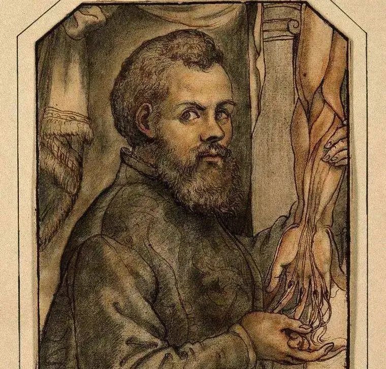 亚历山大时代的医学知识与实践—《医学基础理论》考点（3）