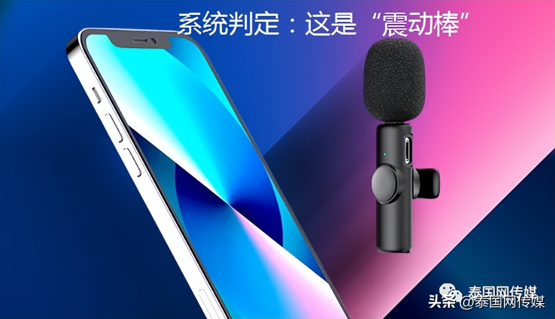 泰国网购诈骗案,泰国清迈网购诈骗被抓