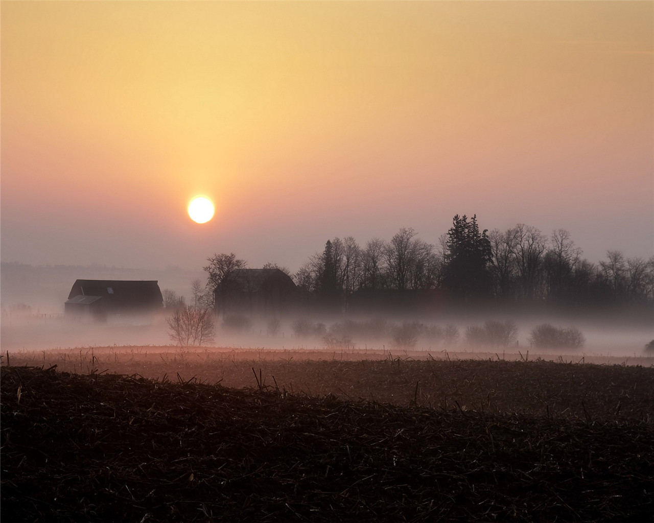 50张顶级绿色绝美壁纸,100张惊艳全屏壁纸风景