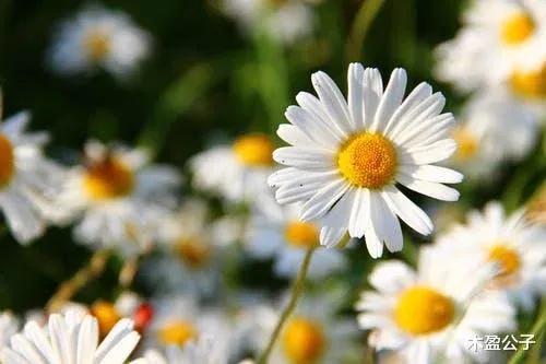 在你困难时遇到朋友借钱该怎么办,别人在你困难时借钱给你还不该要