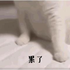 总感觉困缺铁,缺铁浑身酸痛怎么办