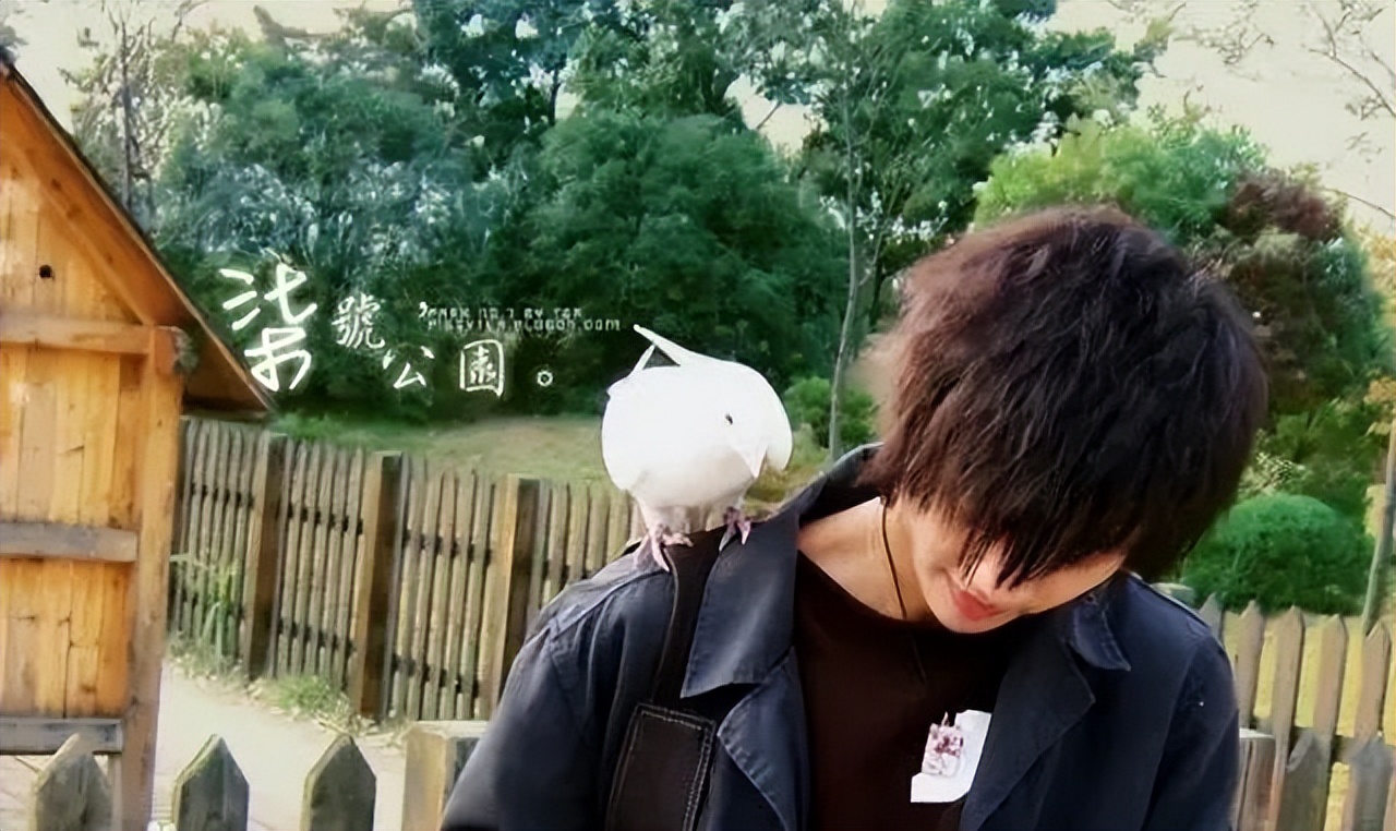 为什么我们喜欢民谣,我们为什么喜欢薛之谦