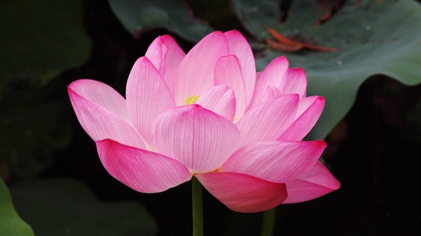 睡眠模式怎样定两个闹钟,睡眠状况可以设置2个闹钟吗