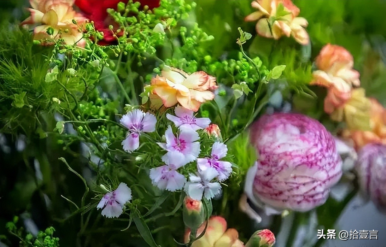 被人算计后，最聪明的做法，不是打击报复，而是这么做