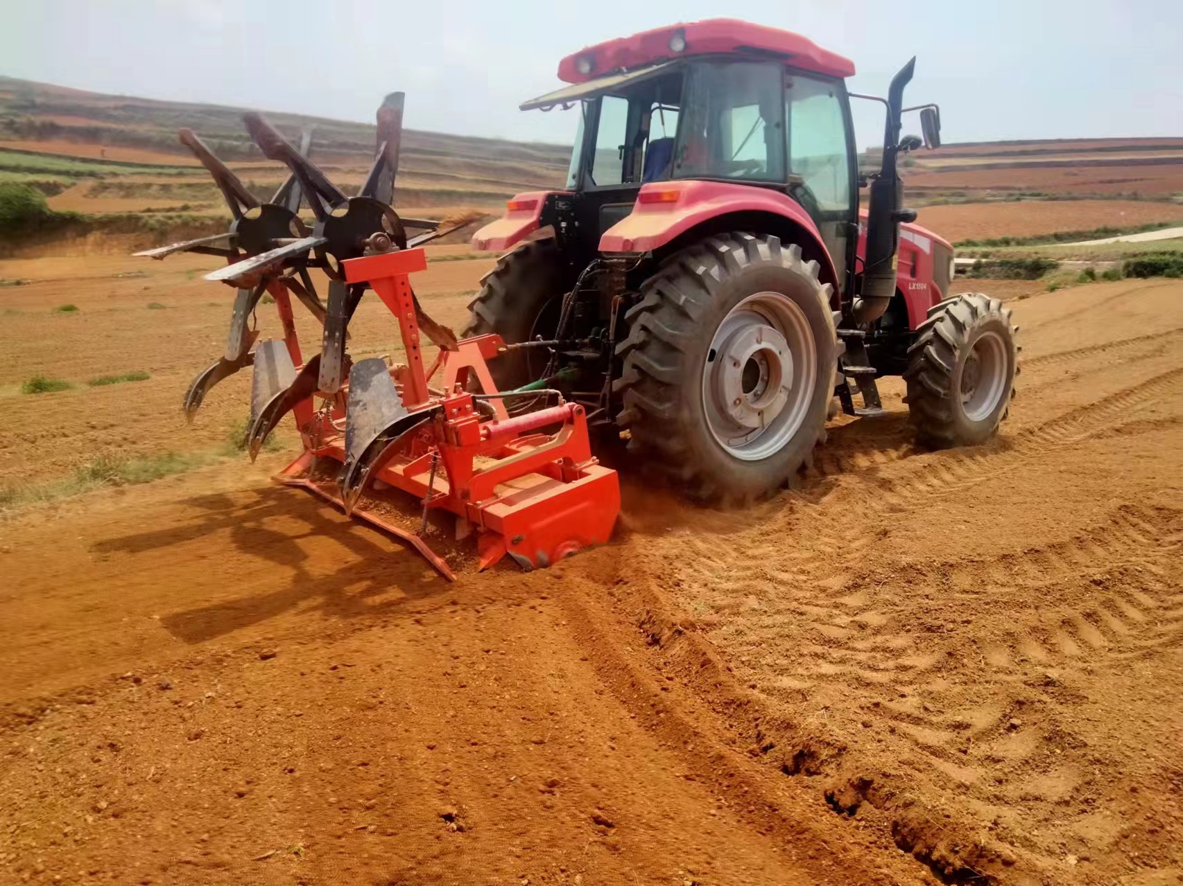 寻甸七星烤烟,在寻甸种植什么烤烟品种好