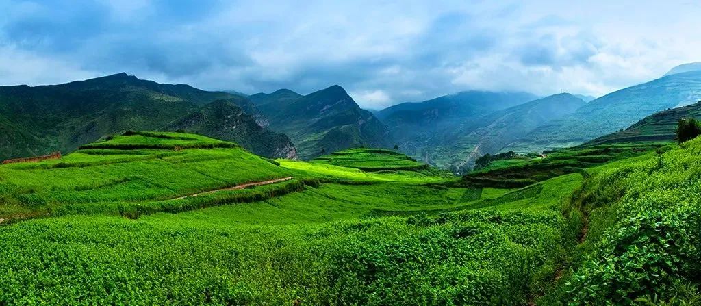 昭觉美姑,美姑路况