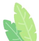 速扩！定安县2022年义务教育学校招生入学工作方案公布