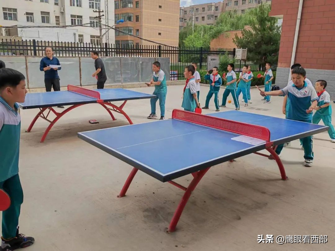 绾㈡棗灏忓绀惧洟琛ㄦ紨,绾㈡棗灏忓鎵嶈壓灞曠ず