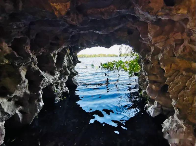 閮簞鍒樺簞,钂嬪簞鍒樺簞