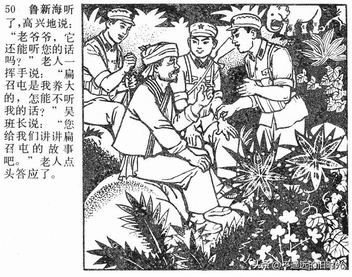 大象搬家,大象搬家河北