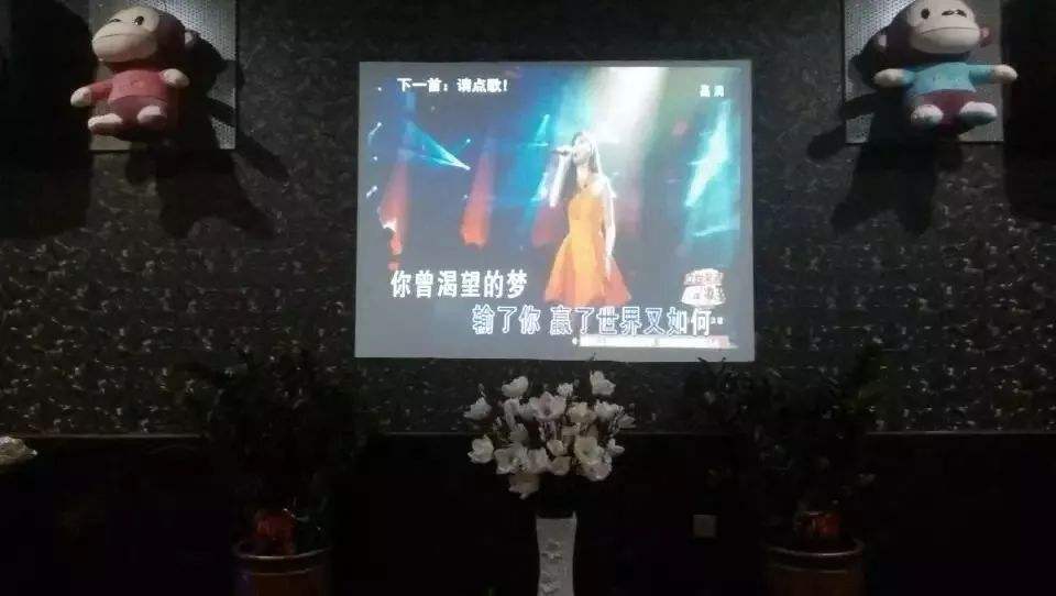 我是一个潮汕人，给女明星当司机两年，她向我求婚，我该怎么办？