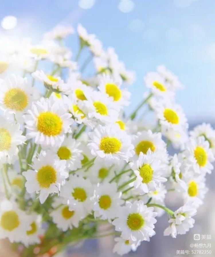 致敬抗疫英雄配图小学生,致敬抗疫英雄小学生简短视频