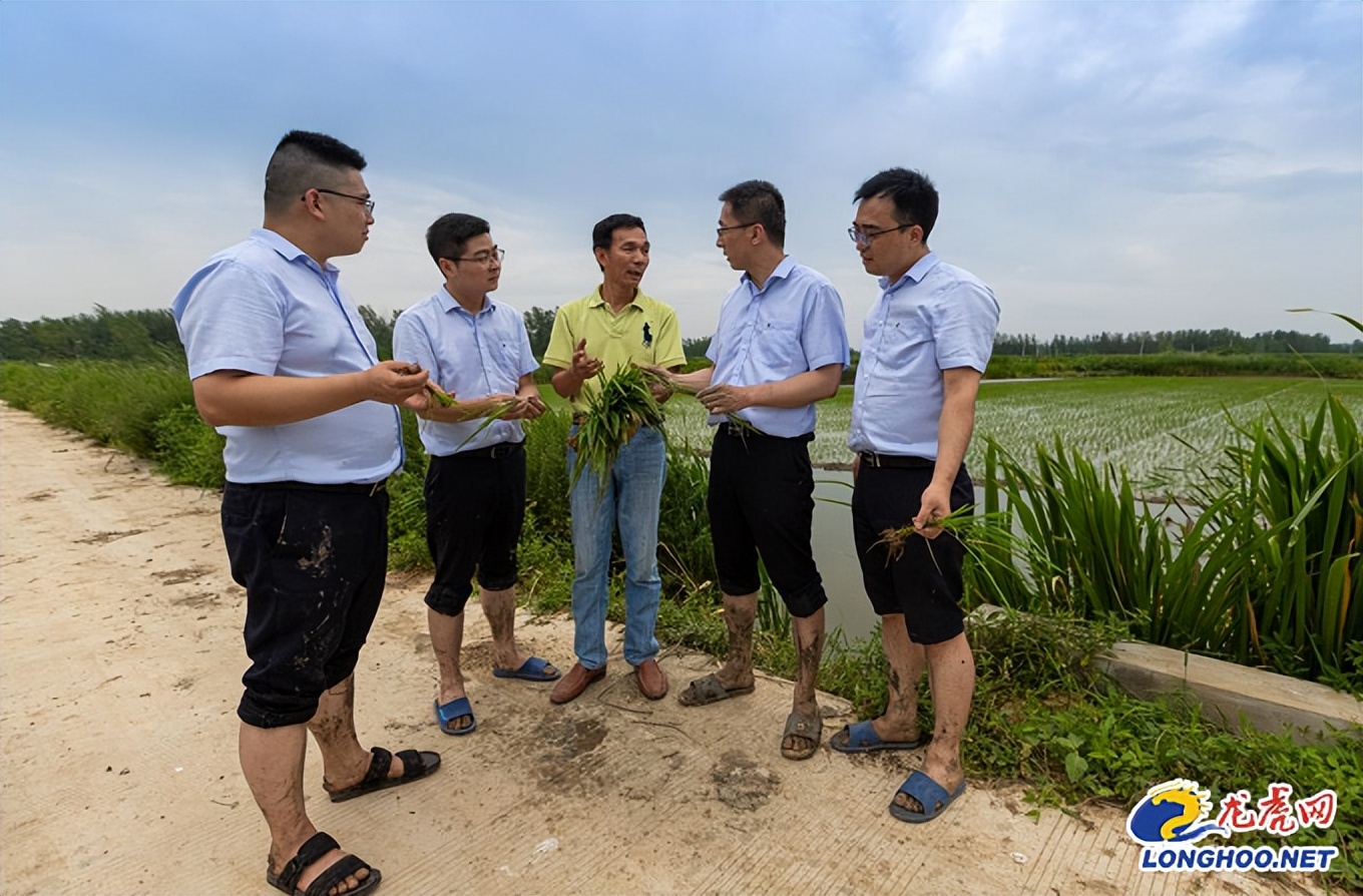 男子做农业十多年达4000亩，曾遇瓶颈险停滞，亏得农担“送”钱来