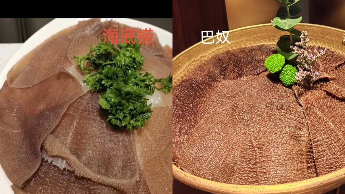 海底捞和巴奴哪个实惠,海底捞巴奴测评