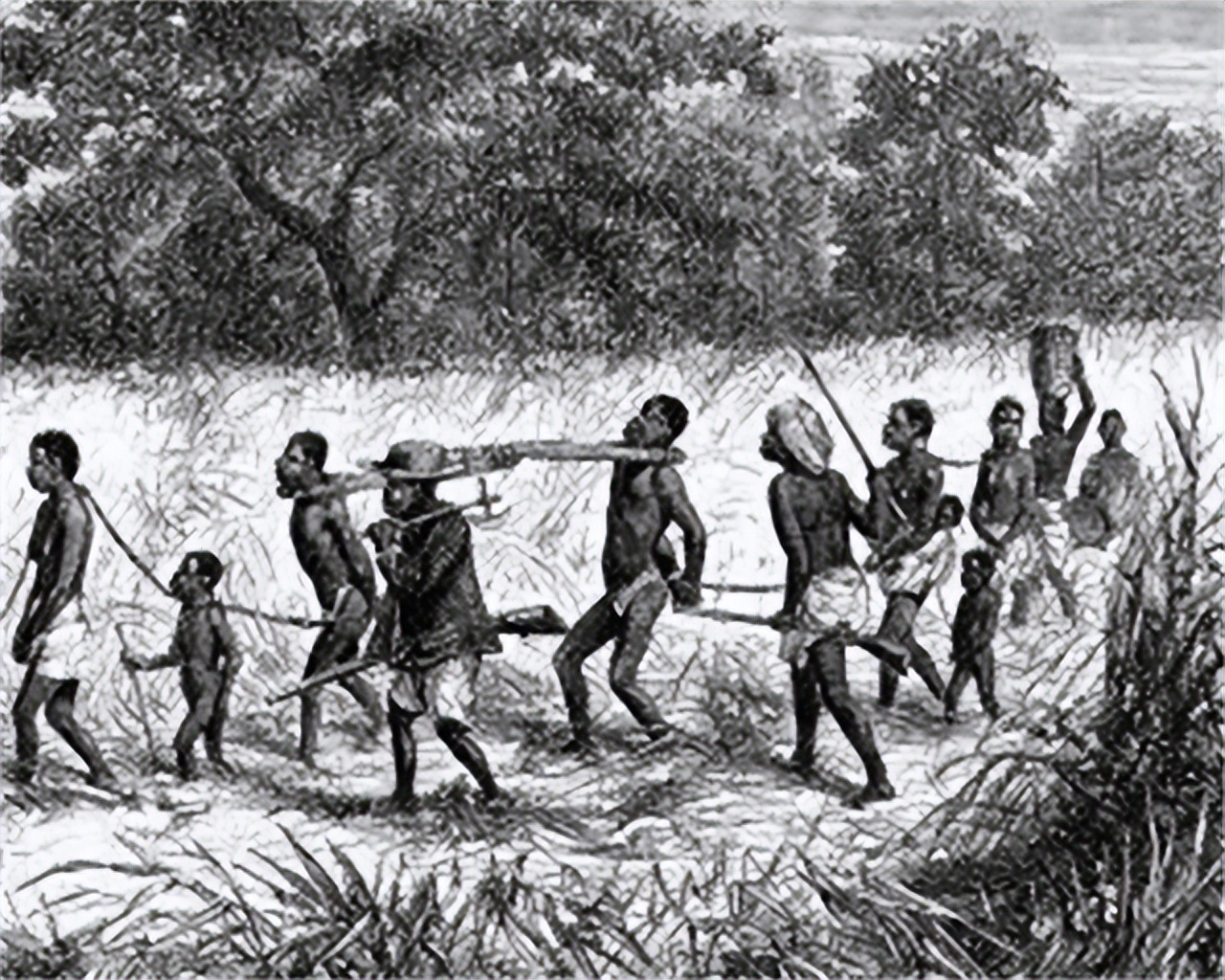 比鞭子、锁链、烙铁恐怖多了，为何轧棉机成为黑奴最痛恨的发明？