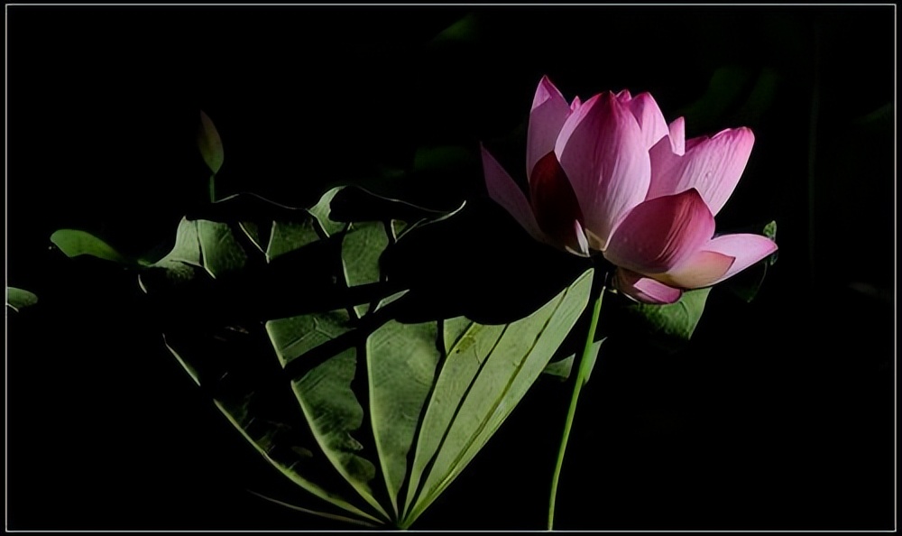 比起炫富，人们更喜欢炫贫。中美文化大不同