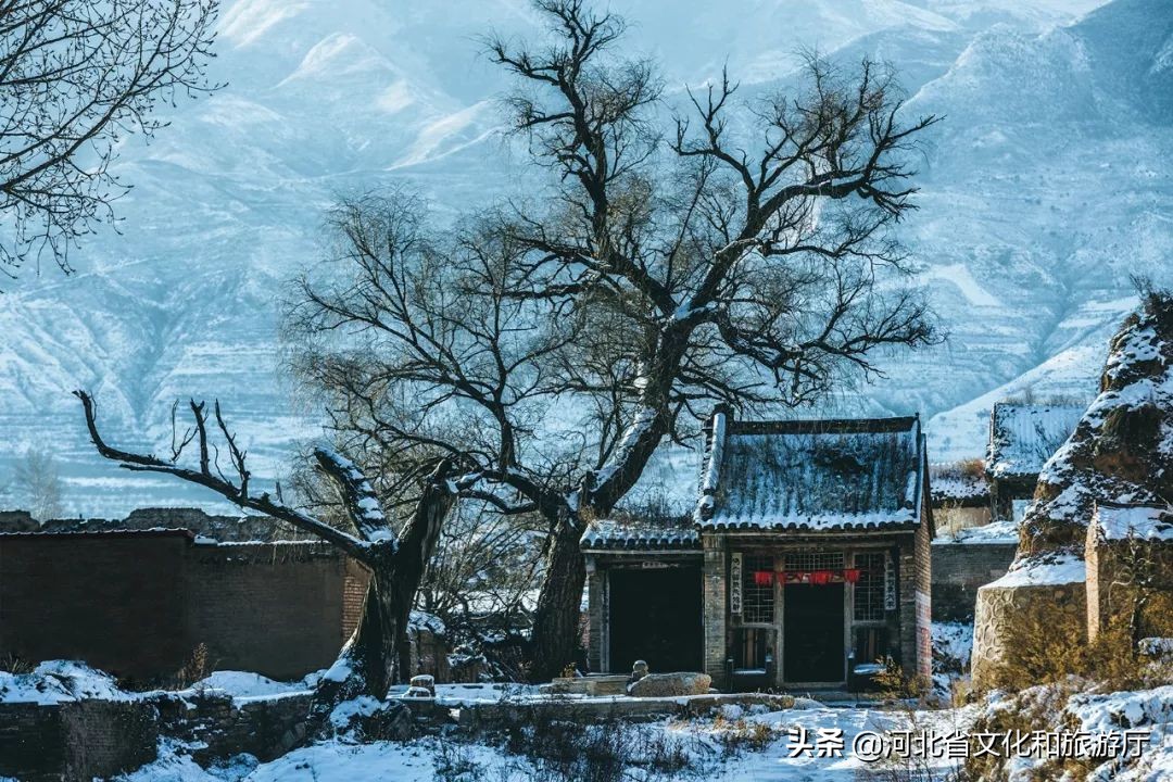 张家口如何从“旱码头”逆袭为“国际张”？