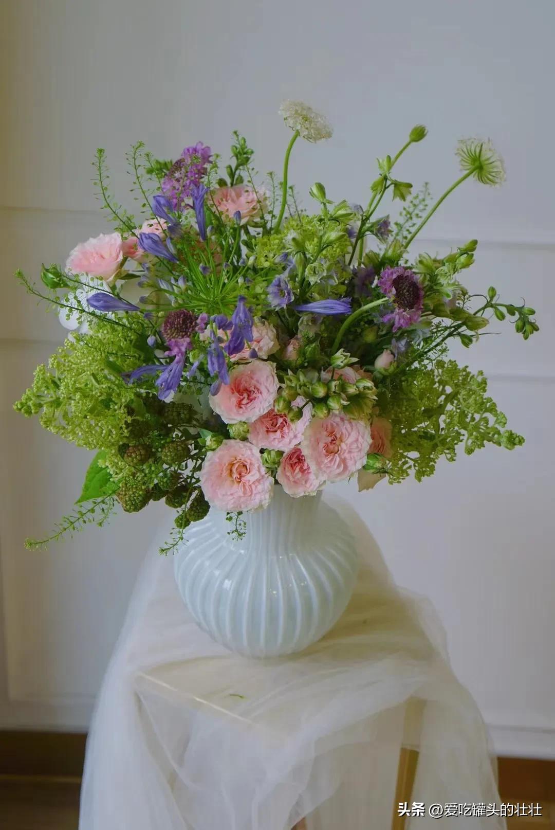 “好事做尽，必有灾殃”：扶助兄弟姐妹，勿忘留心机