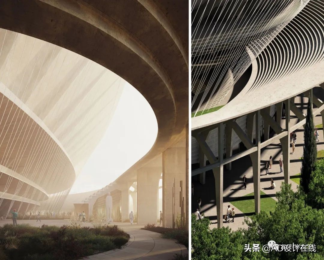 弗兰基球场改建,佛罗伦萨弗兰基球场