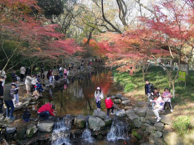 杭州周边赏秋好去处,杭州赏秋最佳攻略