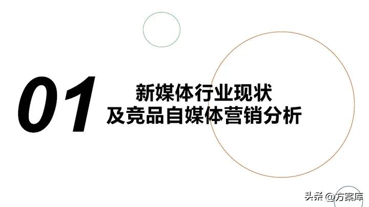 品牌系统营销方案,2020统帅品牌社会化营销策略提案