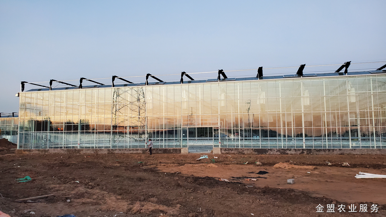 玻璃温室价格,玻璃温室建造