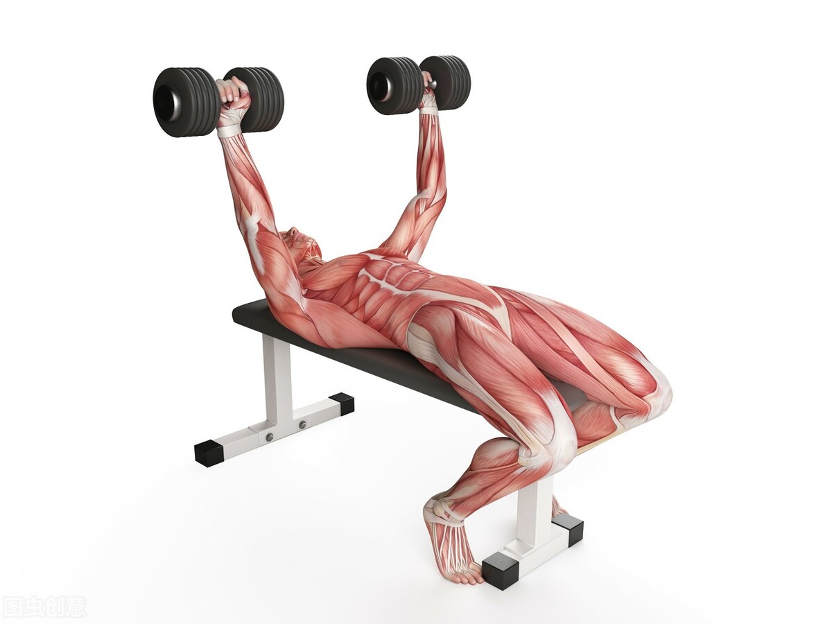 增肌线条类型怎么选择的,增肌怎么保证长的是肌肉不是脂肪