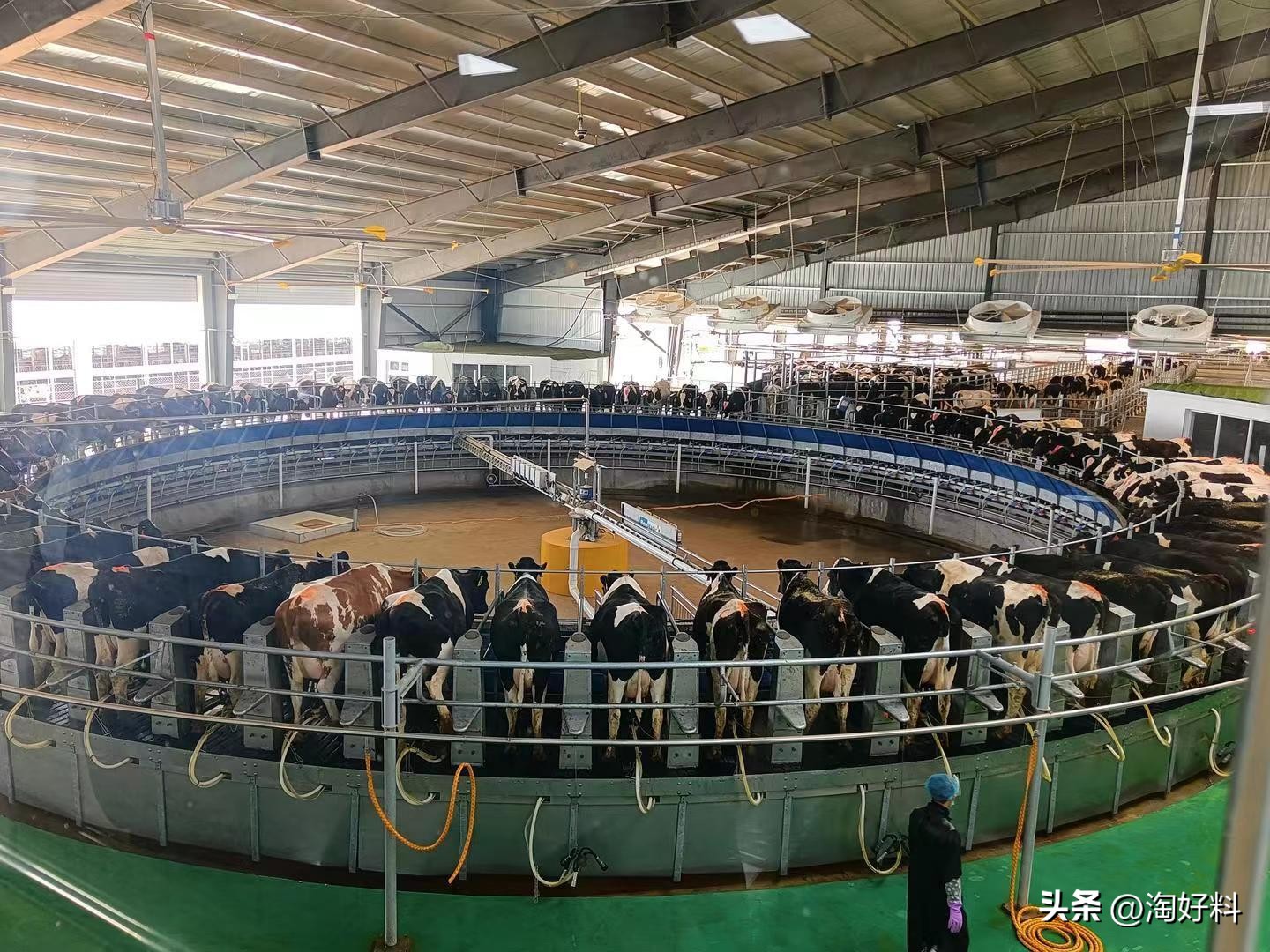 中国现在有多少大型养殖场,全国最大的养殖场排名前十