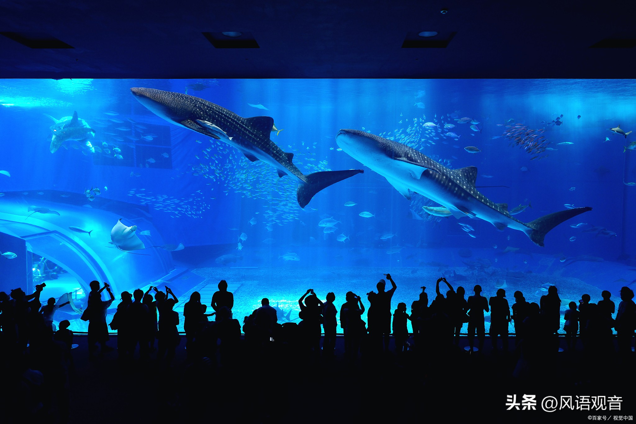 美丽的花园海滨城市大连,美丽风情浪漫的海滨城市大连