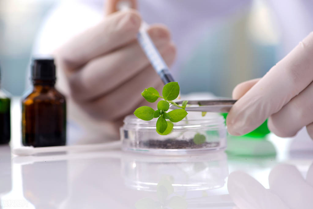 同济大学强基计划数学、力学、化学/物理、生物技术的就业及前景