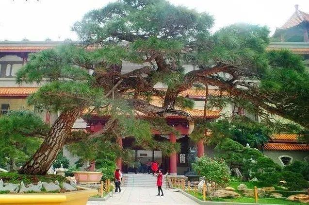 广西一个小山村的布达拉宫,一个不为人知的地方